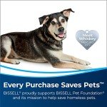 Bissell TurboClean PowerBrush Pet Carpet Cleaner