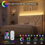 King Velvet LED Bed Frame with Storage Drawers