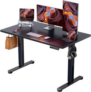 Height Adjustable Electric Standing Desk - 48"x24