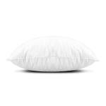 Set of 4 Lightweight Down Alternative Pillow Inserts