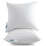 Oubonun 18"x18" Cotton Throw Pillow Inserts - Set of 2