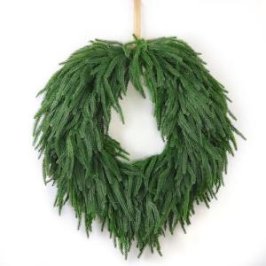 24" Norfolk Pine Holiday Wreath for Home Decor