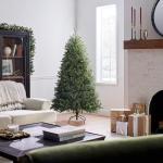 6 ft Unlit Dunhill Fir Christmas Tree with Stand