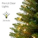 7.5ft Pre-Lit Slim Fraser Fir Christmas Tree
