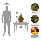 24" Pre-Lit Majestic Fir Mini Christmas Tree