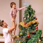 8" Silver Glitter Bethlehem Star Tree Topper