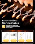 Brightown 100-Count Clear Mini String Lights