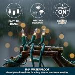 300 Mini Warm White Christmas String Lights