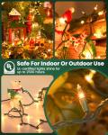 Minetom 100 Count Indoor Christmas String Lights