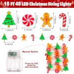 15FT Battery Operated LED Christmas String Lights