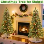 2 Pack LED Christmas Entrance Trees with Base