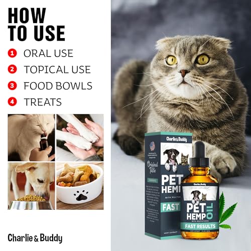 CBD Oil for Dogs and Cats - Eases Anxiety & Pain