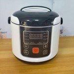 Compact 2L Rice Cooker for Camping & Travel