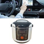 Compact 2L Rice Cooker for Camping & Travel