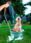 Ivation Rechargeable Portable Camping Showerhead
