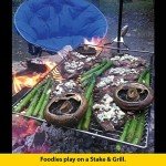 Stromberg Carlson Campfire Grill with Stake