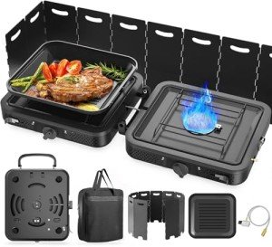Portable 2-Burner Propane Camp Stove with Bag