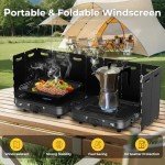 Portable 2-Burner Propane Camp Stove with Bag
