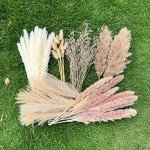 100Pcs Dried Pampas Grass for Boho Decor