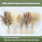100Pcs Dried Pampas Grass for Boho Decor