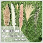 100Pcs Dried Pampas Grass for Boho Decor