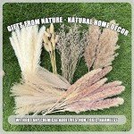 100Pcs Dried Pampas Grass for Boho Decor