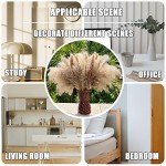 100Pcs Dried Pampas Grass for Boho Decor