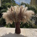 100Pcs Dried Pampas Grass for Boho Decor
