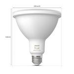 Philips Hue Smart 100W LED Bulb & Bridge