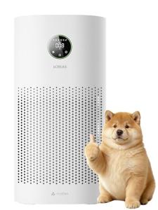 xCREAS Smart Air Purifier with Voice Control