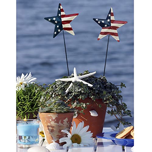 Patriotic Barn Star Garden Stake Decoration