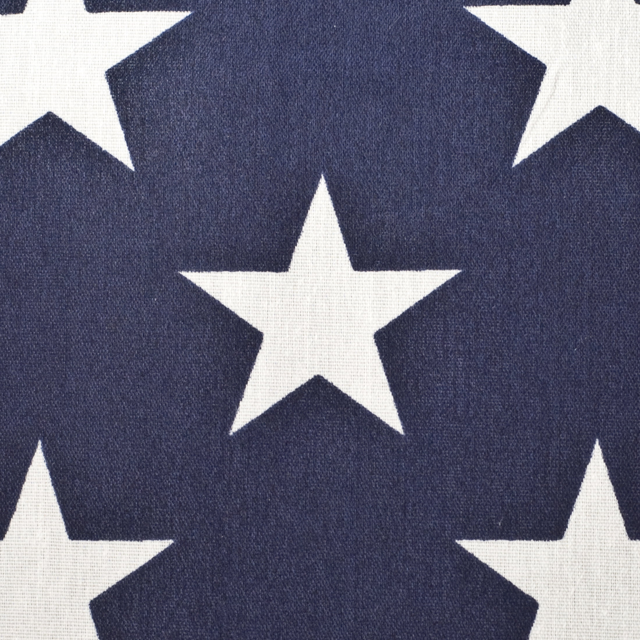 US Flag, Pole & Eagle Set by Annin
