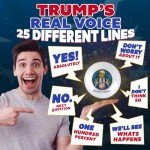 Talking Trump Fortune Telling Ball – Patriotic Collectible