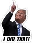 100 Pcs Trump "I Did That" Stickers