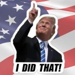 100 Pcs Trump "I Did That" Stickers