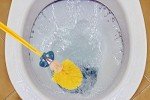 Funny Trump Toilet Brush: Make Toilets Great Again