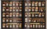 Forgotten Home Apothecary : 250 Powerful Remedies at Your Fingertips