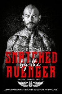 Snatched by the Avenger: Enemies to Lovers Romance