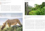 Inspiring Adventures: 1000 Bucket List Ideas