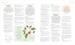 Holistic Healing: Nurturing Your Mental Wellness Journey