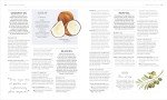 Holistic Healing: Nurturing Your Mental Wellness Journey