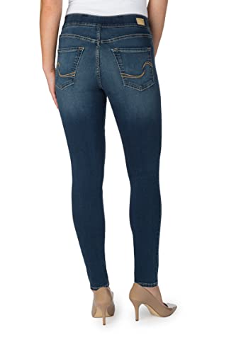 Signature by Levi Strauss & Co. Gold Label Women's Totally Shaping Pull-On Skinny Jeans (Available in Plus Size), Harmony, 14 Medium