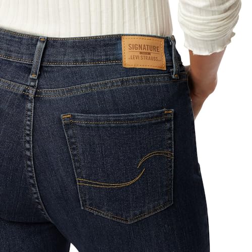 Signature by Levi Strauss & Co. Gold Label Women's Modern Skinny Jean, Immaculate-Waterless, 10