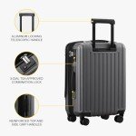 LEVEL8 20-Inch Cabin Luggage with Laptop Compartment
