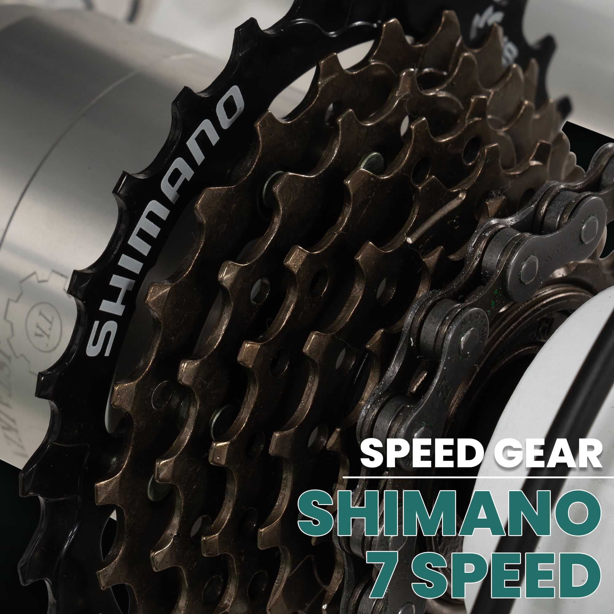 Electric Trike - 3 Wheel Motorized eBike