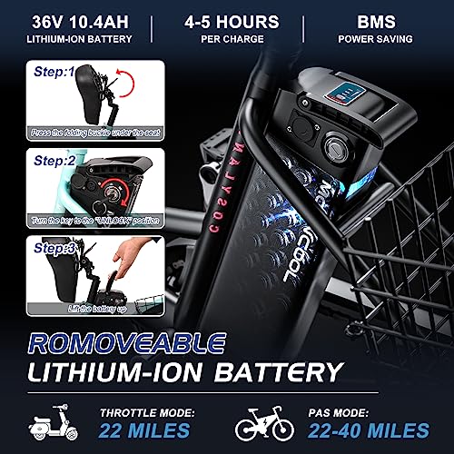 Esazn 24" Electric Trike with 350w Motor: Removable Battery