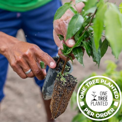 Premium Copper Water Bottle for Yoga & Sports