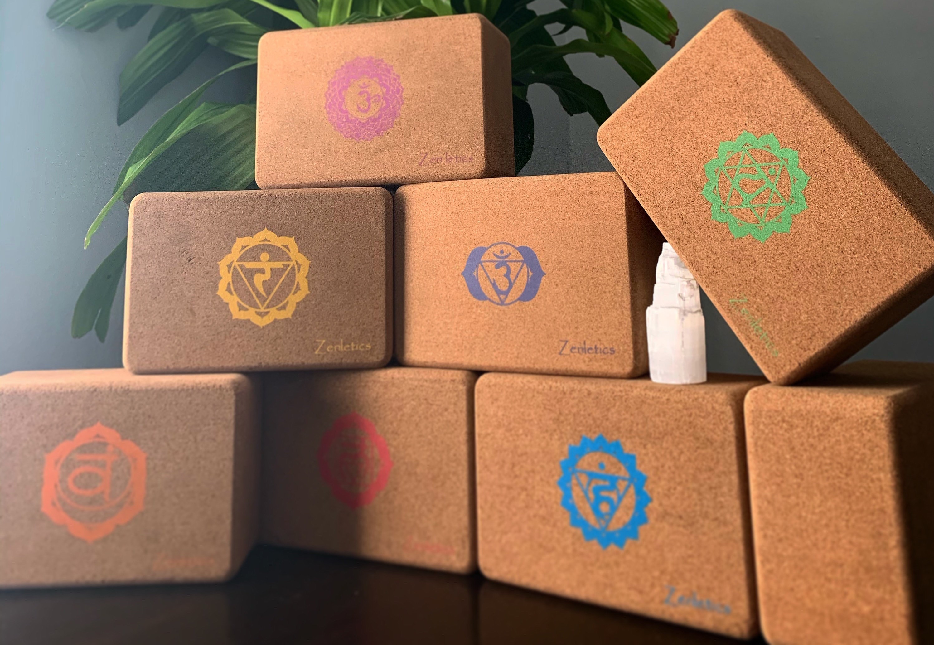 Chakra Awakening Cork Yoga Blocks