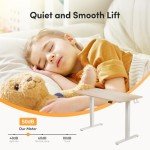 FEZIBO Electric Standing Desk Adjustable Height, 55 x 24 Inch Sit and Stand Desk, Home Office Desk, Ergonomic Workstation Computer Desk, Maple