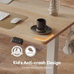 FEZIBO Electric Standing Desk Adjustable Height, 55 x 24 Inch Sit and Stand Desk, Home Office Desk, Ergonomic Workstation Computer Desk, Maple